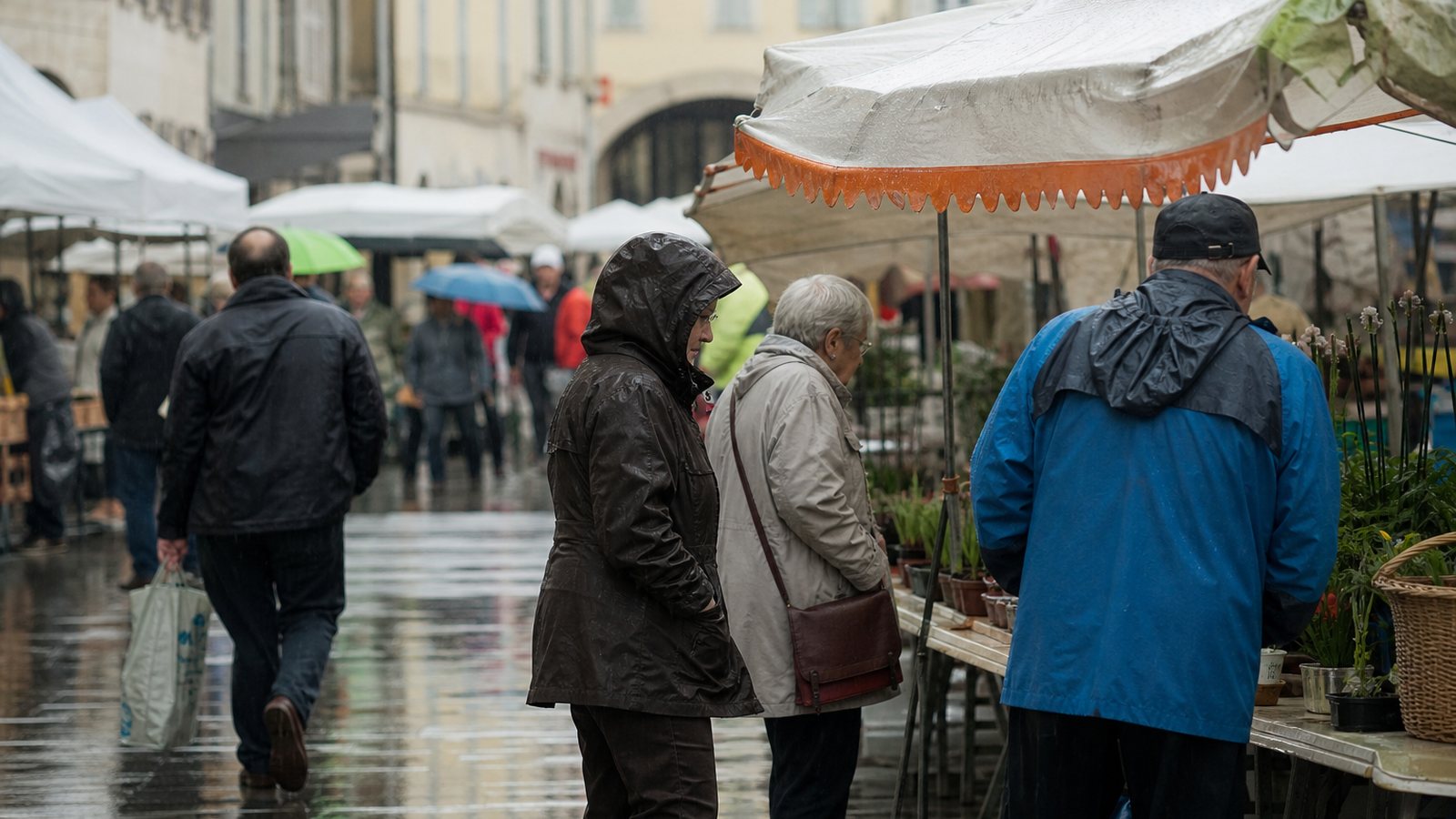 Organisateur consultant le bulletin météo devant les stands installés d'un marché de plein air